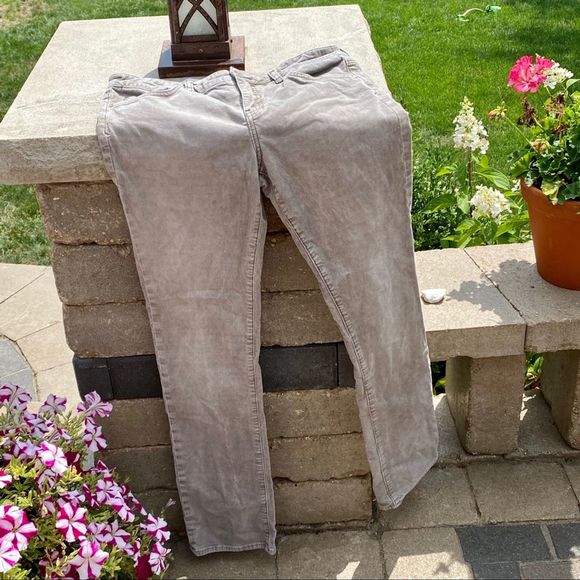Pilcro and the Letterpress Pants - Pilcro and the Letterpress • Greige Cordoroy Pants 30
